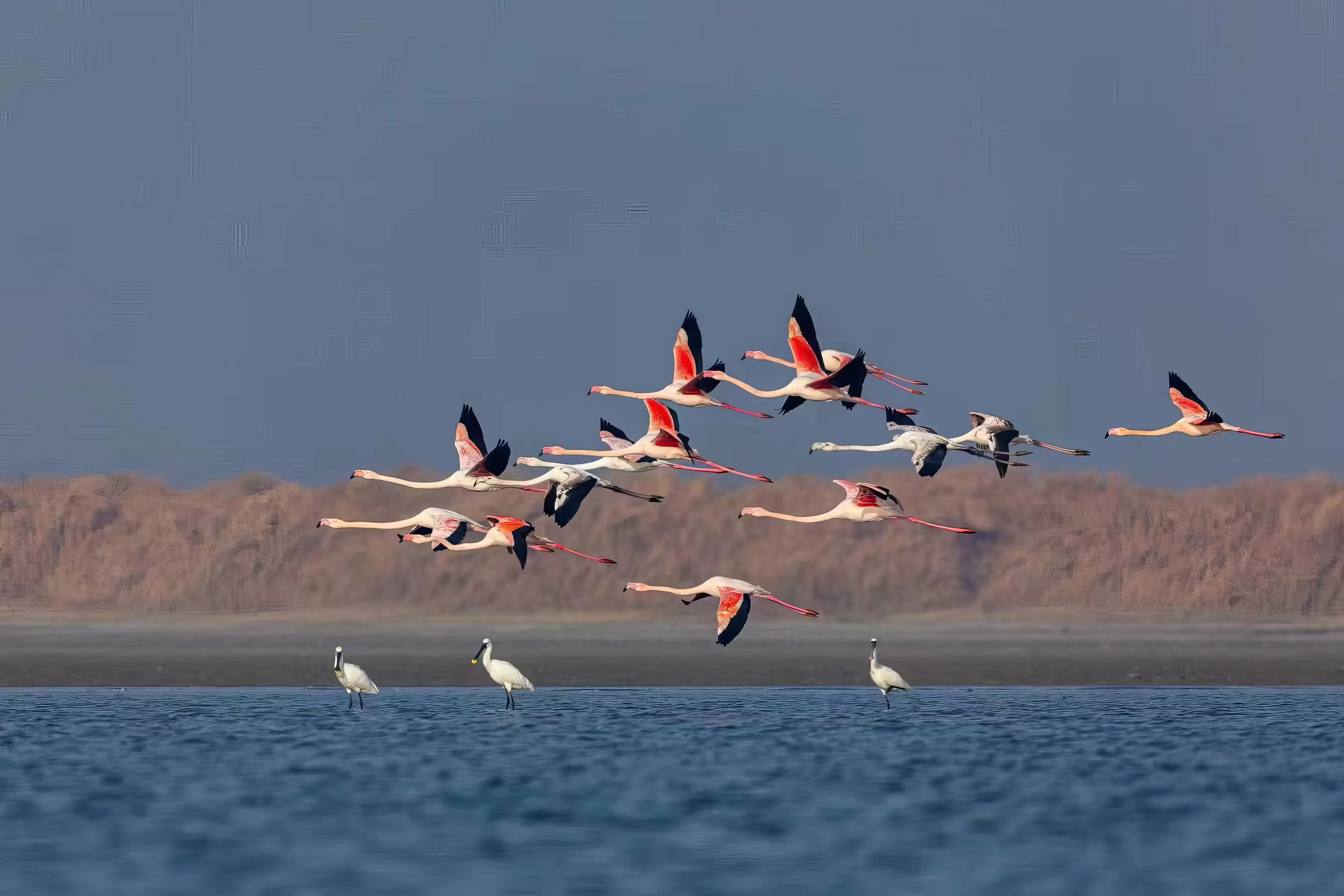 Wetlands, Our Land