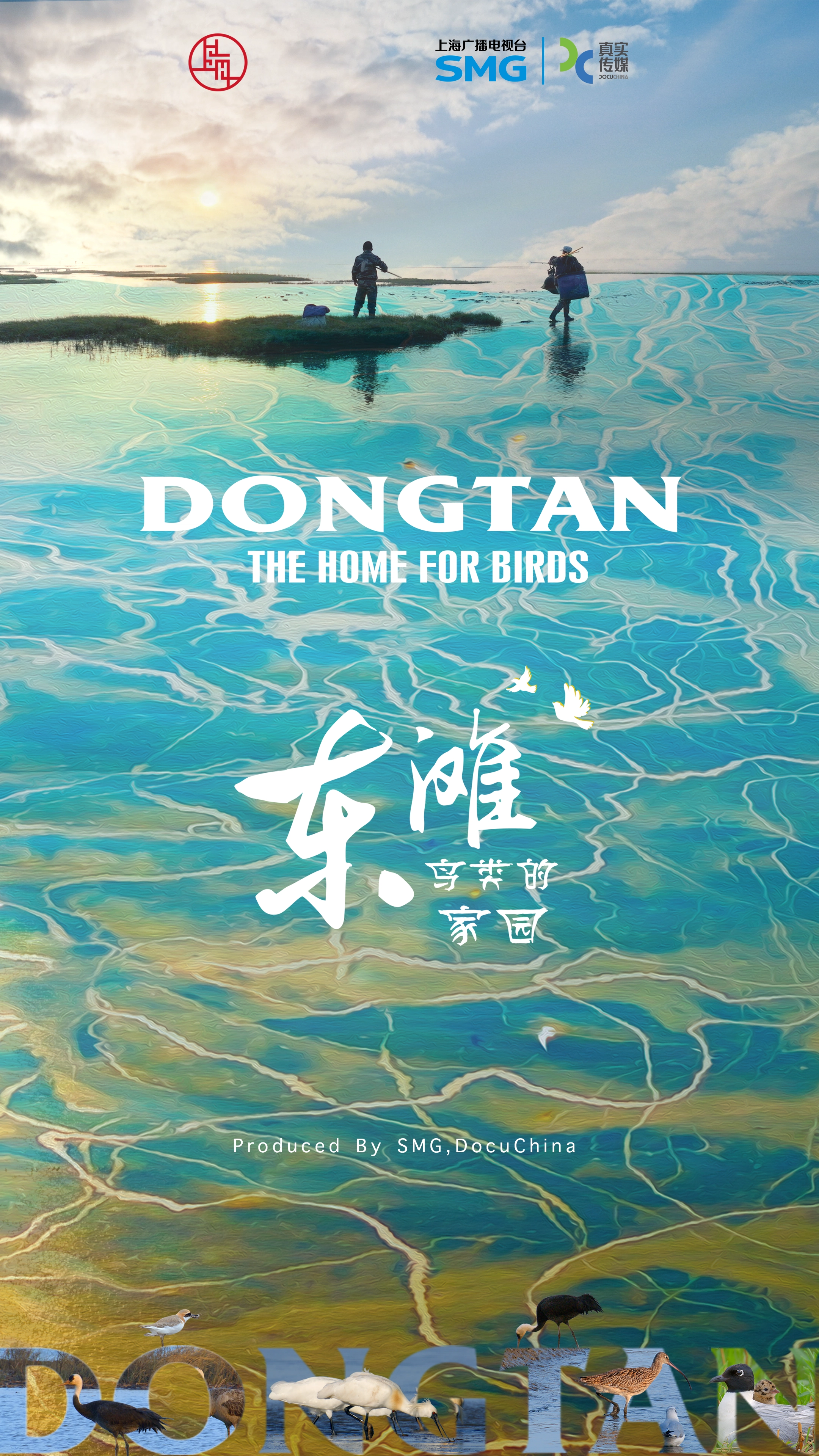 Dongtan : The Home for Birds