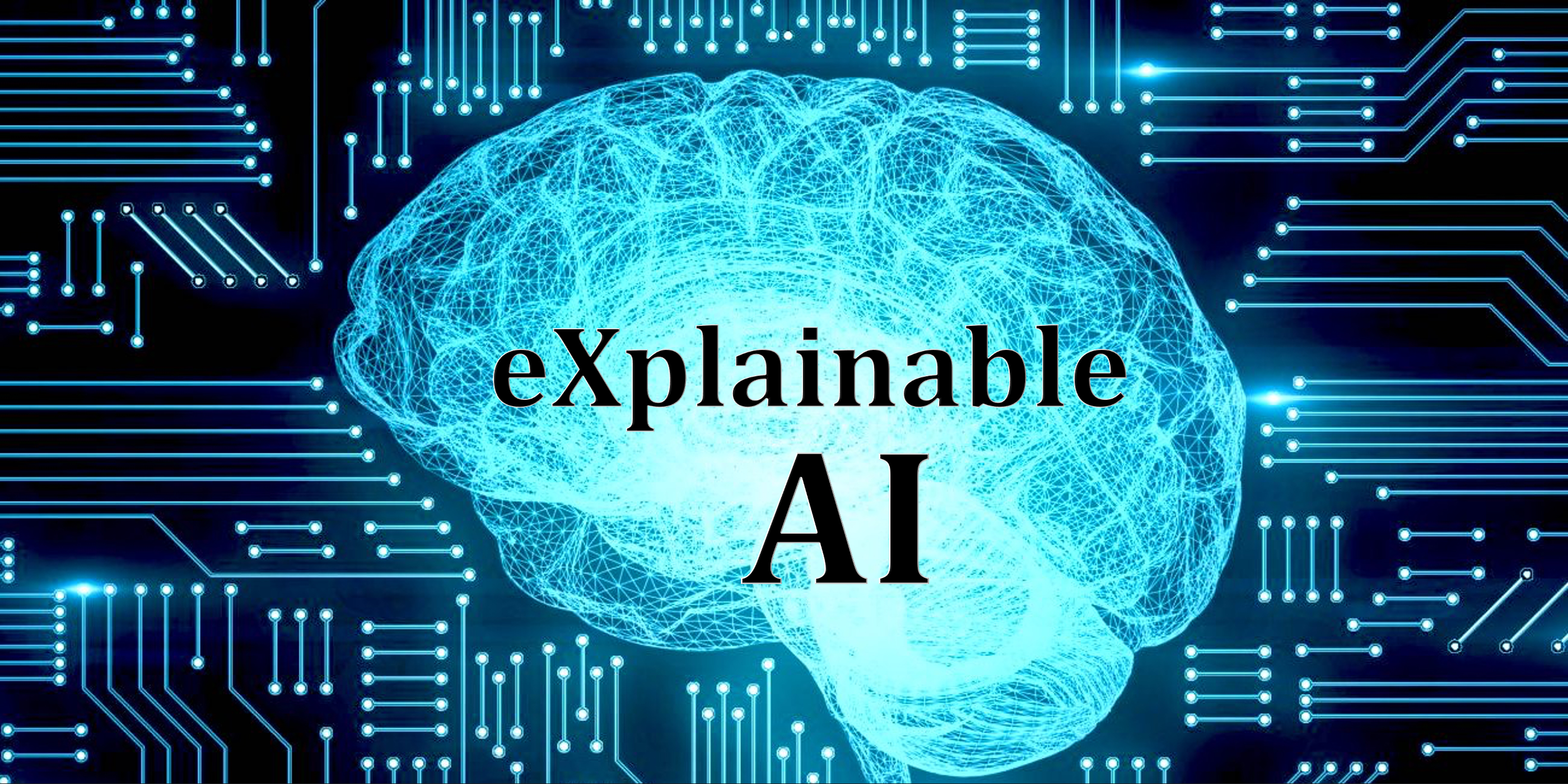 Explainable AI (XAI) - What is explainable artificial intelligence?